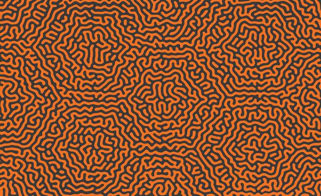 Turing reaction diffusion pattern with abstract motion. Vector illustration of chemical morphogenesis Curvy doodle.