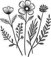 Whispers of Nature Vector Logo Design with Black Botanical Florals Floral Elegance Black Vector Logo Design with Botanical Blooms
