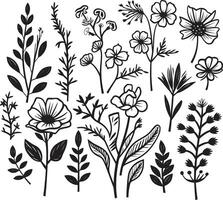 Sculpted Petals Elegant Black Icon, Botanical Design Whispers of Nature Vector Logo, Black Botanical Florals