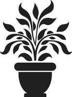 naturalezas nicho pulcro negro icono con decorativo planta maceta pétalo popurrí monocromo emblema presentando elegante planta maceta vector