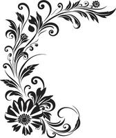 curvas y encantos monocromo garabatear decorativo elemento en elegante diseño artístico adornos elegante vector diseño con decorativo garabatear elementos