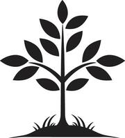 Forest Guardian Sleek Black Logo Design with Tree Plantation Icon Rooted Resilience Vector Symbol of Tree Plantation in Black