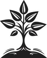 silueta árbol joven icónico vector árbol plantación símbolo en negro bosque guardián pulcro negro logo diseño con árbol plantación icono