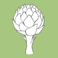 Colorful green artichoke. Vector minimalistic illustration.