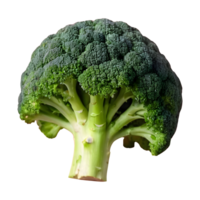 AI generated Transparent background with isolated broccoli isolated png