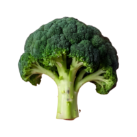 ai genererad transparent bakgrund med isolerat broccoli isolerat png