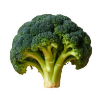 ai genererad transparent bakgrund med isolerat broccoli isolerat png