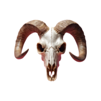 AI generated Transparent background with a horned sheep skull head isolated png