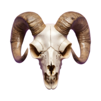AI generated Transparent background with a horned sheep skull head isolated png