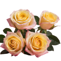 ai généré rose et Jaune des roses isolé png