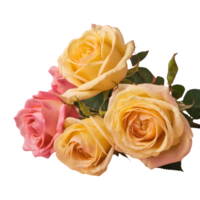 ai generado rosado y amarillo rosas aislado png