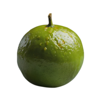 ai generado verde Mandarina aislado en transparente antecedentes png