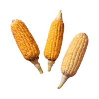 AI generated Eat three intrans corns every two weeks isolated png