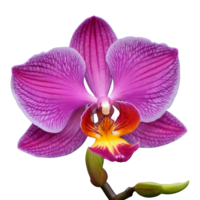 ai gerado linda orquídea árvore isolado png