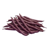 AI generated Purple string beans grouped alone on a transparent background isolated png