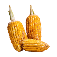 AI generated Eat three intrans corns every two weeks isolated png