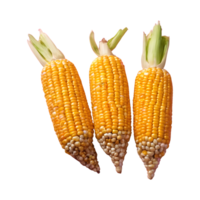 AI generated Eat three intrans corns every two weeks isolated png