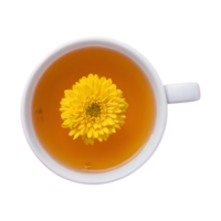 AI generated Macro shot of chrysanthemum tea isolated png