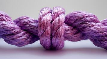 ai generado púrpura cuerda con nudo aislado en blanco antecedentes con sombra. púrpura grueso cuerda con cuerda en el medio. zapato cordón cuerda foto