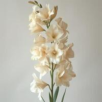 ai generado orquídea flor en blanco antecedentes con sombra. orquídea flor aislado foto