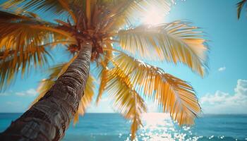 AI generated palm tree on the beach. Closeup of palm tree on tropical sandy beach during summer time. Sun and the ocean photo