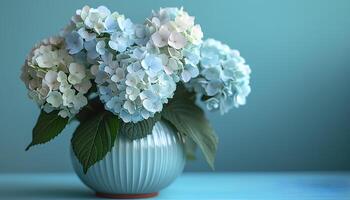 AI generated Hydrangea flowers in a vase on isolated on background. Hydrangea flowers blooming during summertime photo