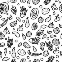 Fruit vector seamless pattern in doodle style.