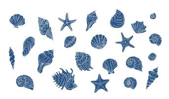 Turtles vector set. Doodle drawn engraved line illustration. A collection of sketches of different mollusc shells of different shapes. Shapes of ocean shells on a white background.