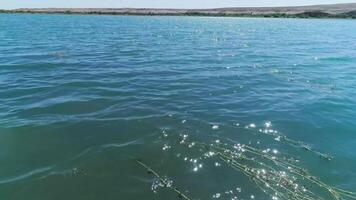 drone came mouches au dessus Lac des eaux dans le milieu de désert video