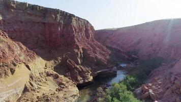 River flowing in the gorge in desert. Flock of sheep came to the watering place video