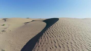 Wüste im das Frühling. Dünen mit Selten Gras. gefilmt durch Drohne video