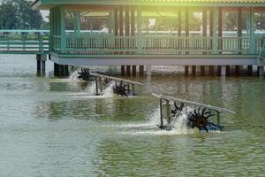 Solar-powered water turbines are placed at intervals in the pond to oxygenate the water and treat wastewater. photo