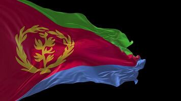 3d animation of the national flag of Eritrea waving in the wind. video