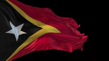 3d animation of the national flag of East Timor waving in the wind. video