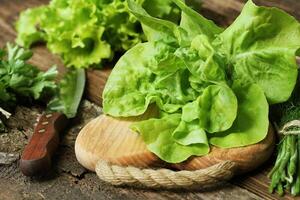 Raw green organic butter lettuce ready to chop on cutting board with knife photo