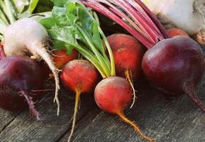 Fresh farm colorful beetroot on a wooden background. Detox and health. Selective focus. Red, golden, white beet photo