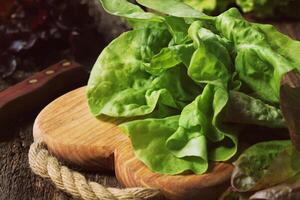 Raw green organic butter lettuce ready to chop on cutting board with knife photo