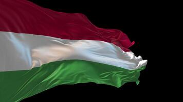 3d animation of the national flag of Hungary waving in the wind. video