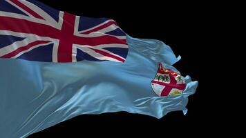 3d animation of the national flag of Fiji waving in the wind. video