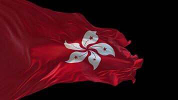 3d animation of the national flag of Hong Kong waving in the wind. video