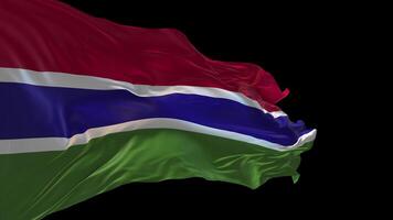 3d animering av de nationell flagga av gambia vinka i de vind. video