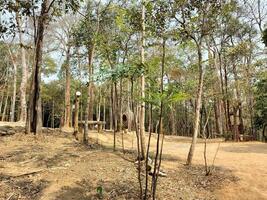 paisaje ver de eso Pha nam thip no cazar zona a roi et provincia, Tailandia foto