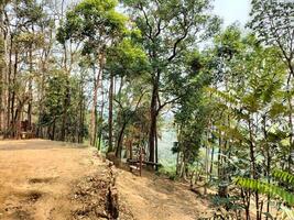 landscape view of Tham Pha Nam Thip Non-hunting Area at Roi Et province, Thailand photo