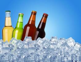 beer in ice photo