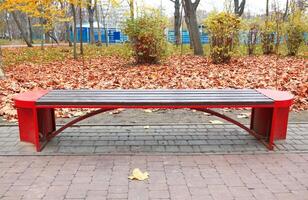 Bench in autumn park photo