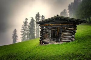 Wooden hayloft in the Stubai Alps photo