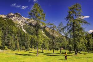 Mountain landscape of the Stubai Alps photo