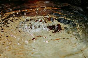 Water splashes in the koi fish pond photo