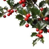 AI generated Holly tree with fruits against transparent background and empty space for text isolated png