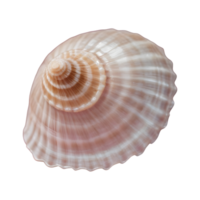 AI generated Macro shot of a transparent background showcasing an unusual seashell isolated png